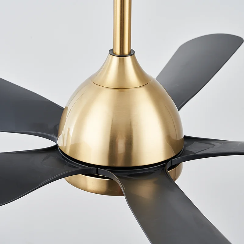 Five ABS Blades Ceiling Fan LED Light Silent Remote Control Energy Saving Fan Light for Living Room - Image 6