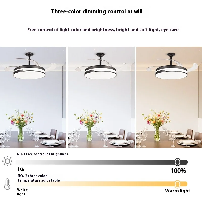 Hongyun Customizable Modern LED Light DC Motor Ceiling Fan 42 Inch Remote Control Wind Tune Cost-Effective for Home Restaurant - Image 4