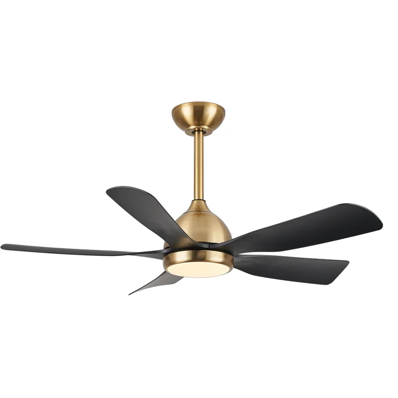 Five ABS Blades Ceiling Fan LED Light Silent Remote Control Energy Saving Fan Light for Living Room - Image 2